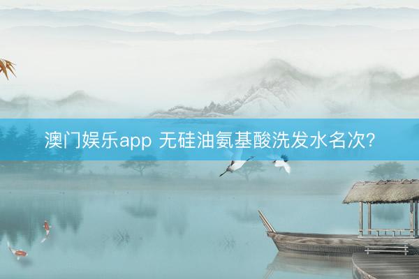 澳门娱乐app 无硅油氨基酸洗发水名次？