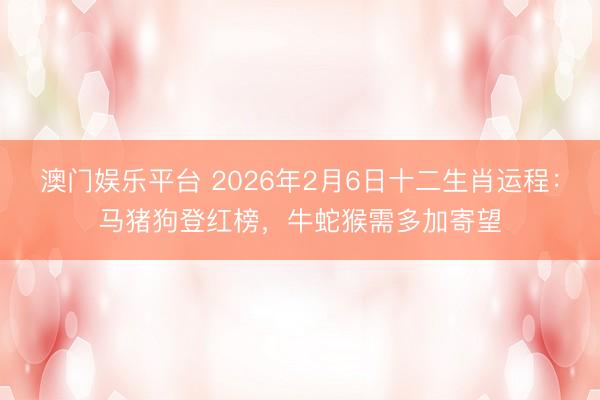澳门娱乐平台 2026年2月6日十二生肖运程：马猪狗登红榜，牛蛇猴需多加寄望