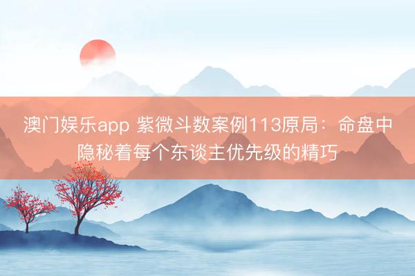 澳门娱乐app 紫微斗数案例113原局：命盘中隐秘着每个东谈主优先级的精巧