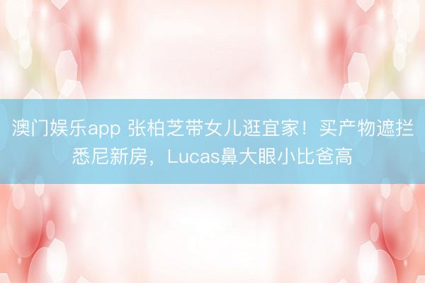 澳门娱乐app 张柏芝带女儿逛宜家！买产物遮拦悉尼新房，Lucas鼻大眼小比爸高