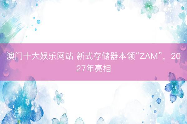 澳门十大娱乐网站 新式存储器本领“ZAM”，2027年亮相