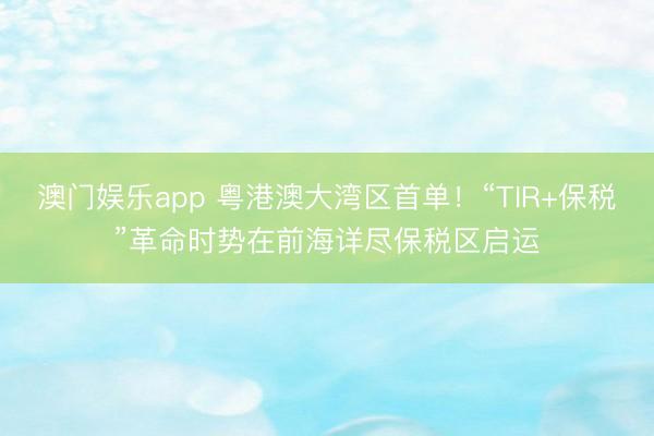 澳门娱乐app 粤港澳大湾区首单！“TIR+保税”革命时势在前海详尽保税区启运
