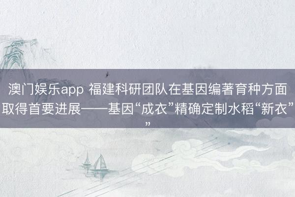 澳门娱乐app 福建科研团队在基因编著育种方面取得首要进展——基因“成衣”精确定制水稻“新衣”