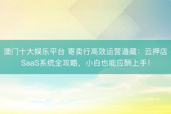 澳门十大娱乐平台 寄卖行高效运营遁藏：云押店SaaS系统全攻略，小白也能应酬上手！