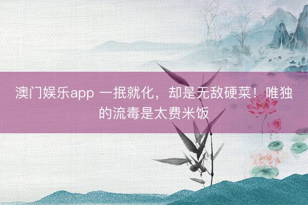 澳门娱乐app 一抿就化，却是无敌硬菜！唯独的流毒是太费米饭