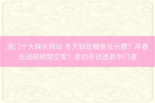 澳门十大娱乐网站 冬天缺吃鲫鱼反长膘？早春出动却频频空军？老钓手说透其中门道