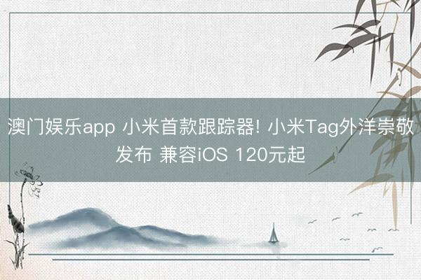 澳门娱乐app 小米首款跟踪器! 小米Tag外洋崇敬发布 兼容iOS 120元起