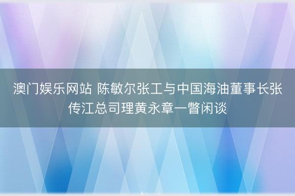 澳门娱乐网站 陈敏尔张工与中国海油董事长张传江总司理黄永章一瞥闲谈