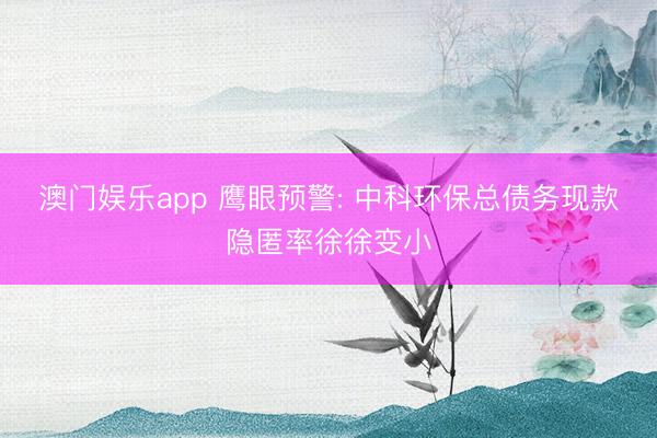 澳门娱乐app 鹰眼预警: 中科环保总债务现款隐匿率徐徐变小