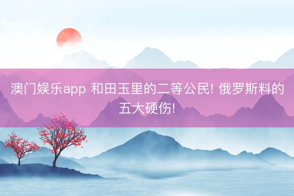 澳门娱乐app 和田玉里的二等公民! 俄罗斯料的五大硬伤!