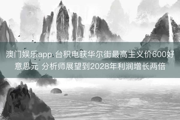 澳门娱乐app 台积电获华尔街最高主义价600好意思元 分析师展望到2028年利润增长两倍
