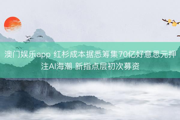 澳门娱乐app 红杉成本据悉筹集70亿好意思元押注AI海潮 新指点层初次募资