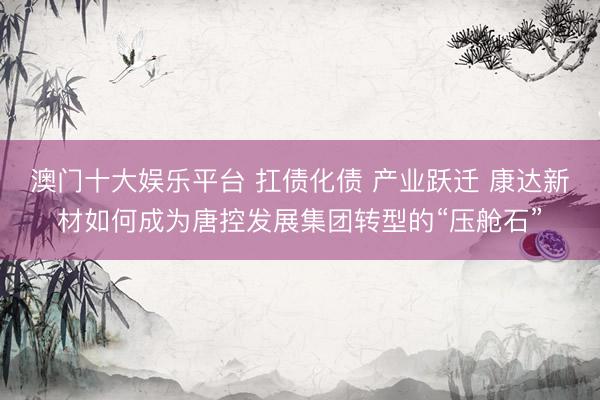 澳门十大娱乐平台 扛债化债 产业跃迁 康达新材如何成为唐控发展集团转型的“压舱石”