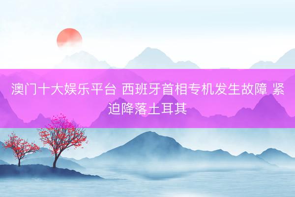 澳门十大娱乐平台 西班牙首相专机发生故障 紧迫降落土耳其