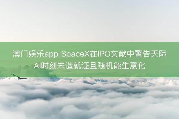 澳门娱乐app SpaceX在IPO文献中警告天际AI时刻未造就证且随机能生意化